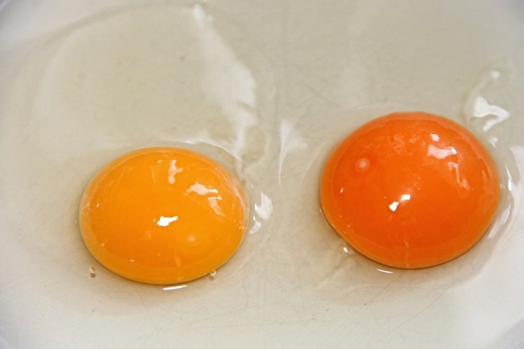imagen de 2 yemas de huevo, uno de los mejores alimentos ricos en vitamina D