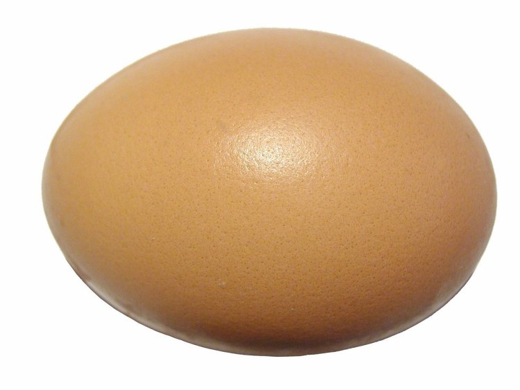 imagen de un huevo entero, un alimento para comer en una dieta seca